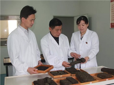 傳承茯茶非遺技藝、開拓創(chuàng)新引領(lǐng)行業(yè)發(fā)展