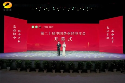 【聚焦第二十屆中國茶業(yè)經(jīng)濟(jì)年會】益陽茶廠榮獲“民族團(tuán)結(jié)互助企業(yè)”、“2024年度茶業(yè)重點(diǎn)企業(yè)”榮譽(yù)稱號