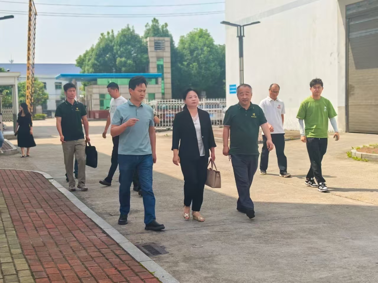 湖北省赤壁市文旅局領(lǐng)導一行赴益陽茶廠考察非遺技藝傳承與保護工作